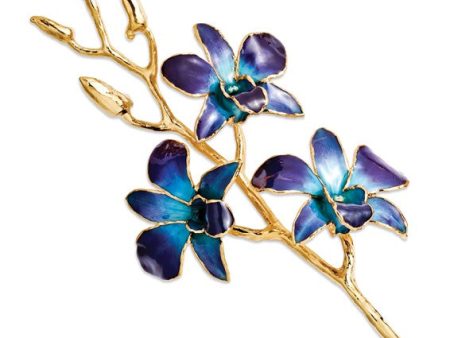 Blue to Purple Orchid with Gold Trim Discount