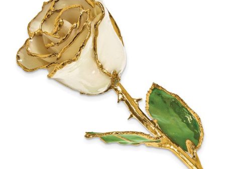 Birthstone Diamond Colored Rose for April with Gold Trim Online Hot Sale