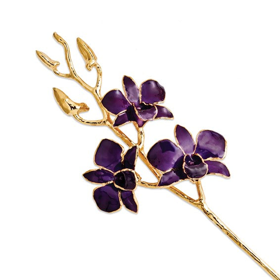 Purple Orchid with Gold Trim Cheap