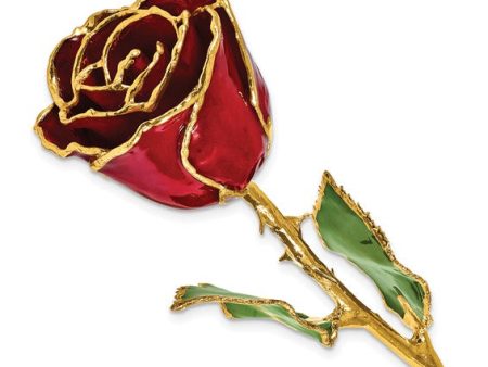 Birthstone Garnet Colored Rose for January with Gold Trim For Sale