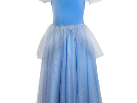 Joy Costumes Blue Princess on Sale