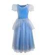 Joy Costumes Blue Princess on Sale