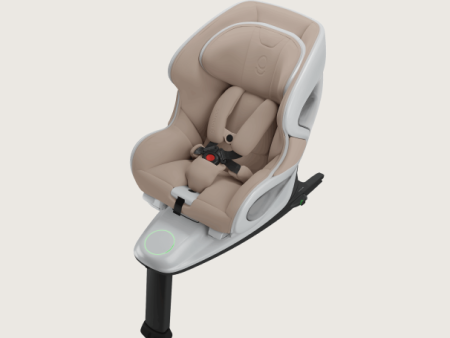 Babyark Convertible Car Seat For Cheap