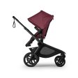 Bugaboo Kangaroo Complete Stroller-PRE ORDER Sale