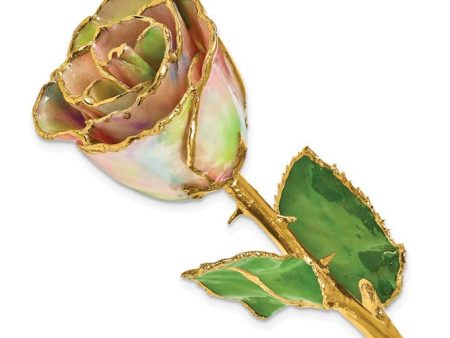 Galaxy Iridescent Colored Rose with Gold Trim on Sale