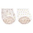 Aden and Anais Silky Soft 2pk Burpy Bib on Sale