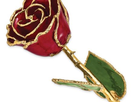 Burgundy Rose with Gold Trim on Sale