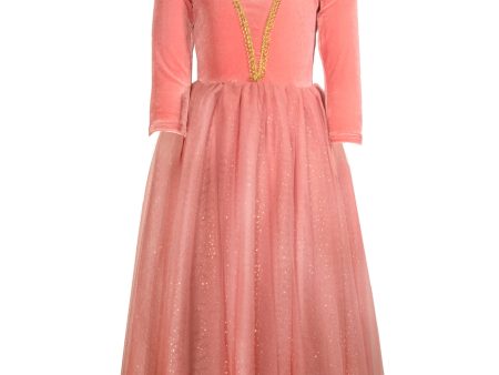 Joy Costume-Princess Briar Rose Supply