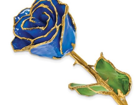 Birthstone Sapphire Blue Colored Rose for September with Gold Trim For Cheap