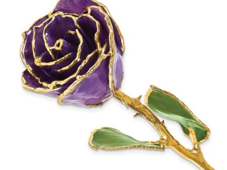 Birthstone Amethyst Colored Rose for February with Gold Trim For Cheap