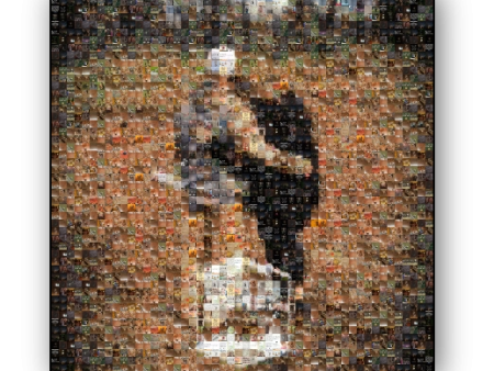 Photo Mosaic Metal Print For Sale