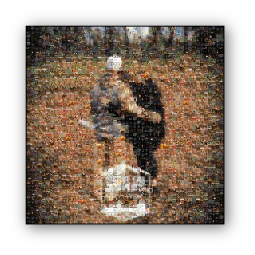 Photo Mosaic Metal Print For Sale